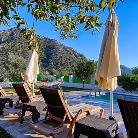 With Private Pool And Private Garden In Dalyan *