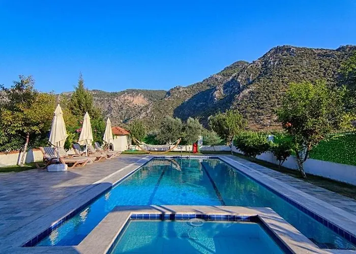 With Private Pool And Private Garden In Dalyan Vila