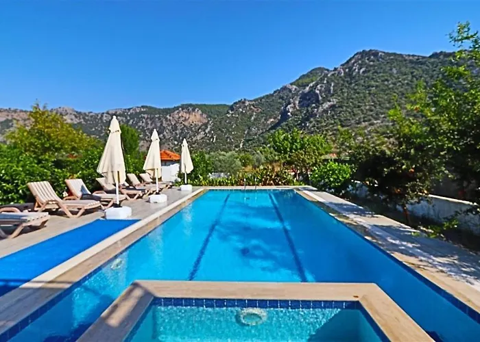 With Private Pool And Private Garden In Dalyan Vila *